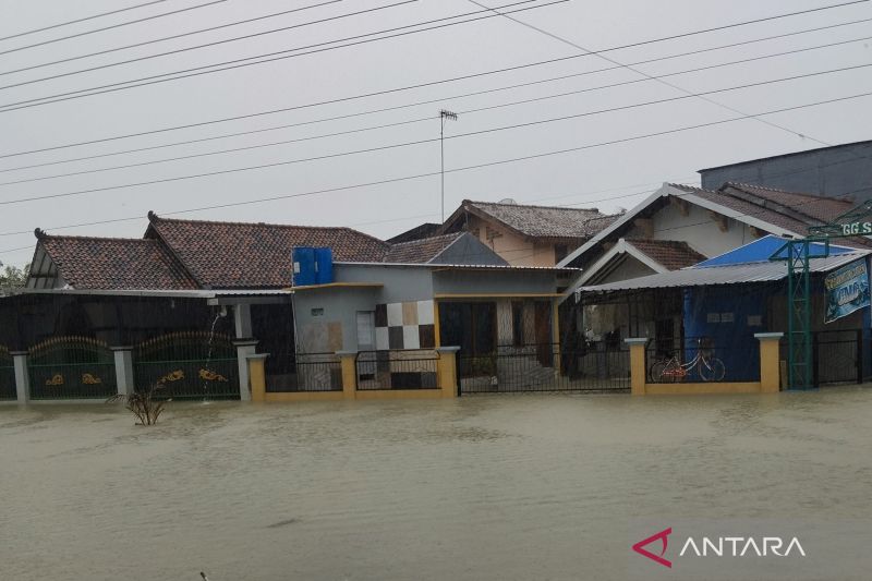 Saluran air tampak meluap hingga menggenangi rumah warga di Desa Wonorejo, Kecamatan Karanganyar, Kabupaten Demak, Jawa Tengah, Kamis (14/3/2024). (ANTARA/Akhmad Nazaruddin Lathif)
