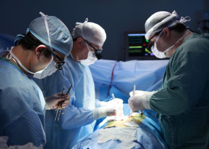 Ilustrasi Dokter Berhasil Transplantasikan Ginjal Babi ke Manusia