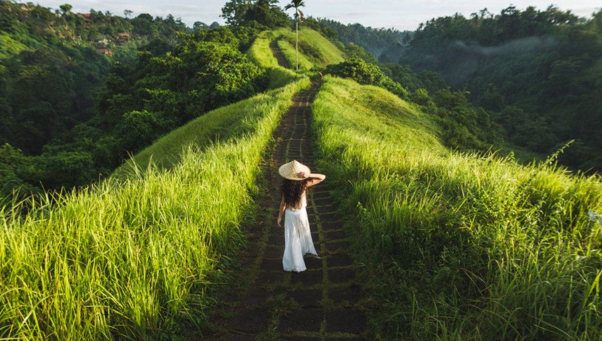 Ilustrasi Wisata Alam