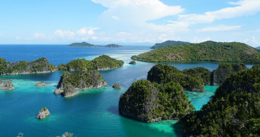 Raja Ampat (Foto: Ahmad Masaul Khoiri/detikcom)