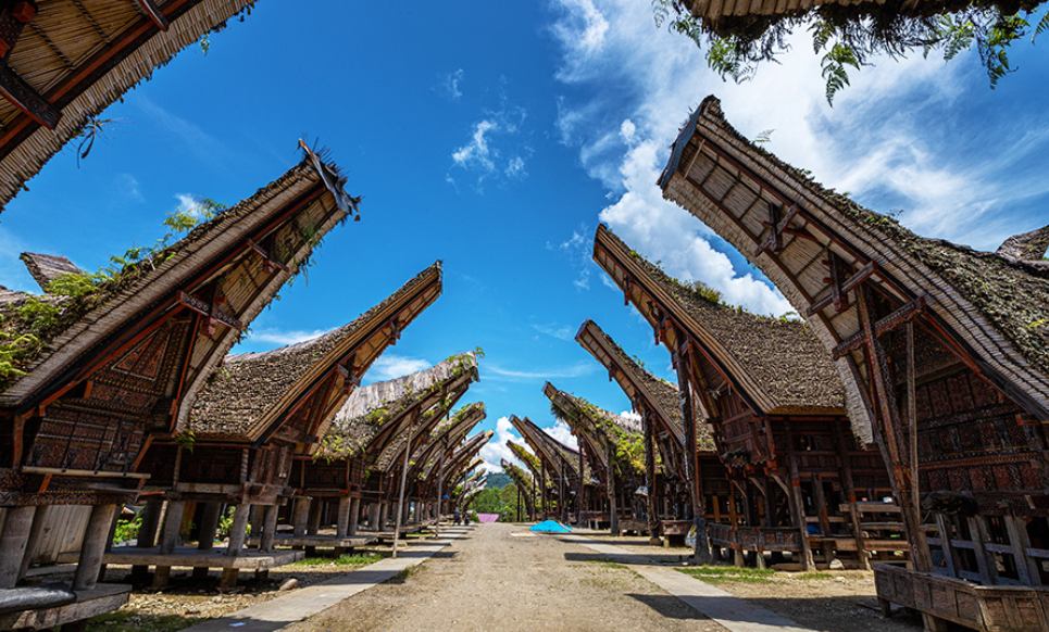 Desa Palawa yang penuh dengan tongkonan (Gambar dari priantopuji &ndash; www.shutterstock.com)