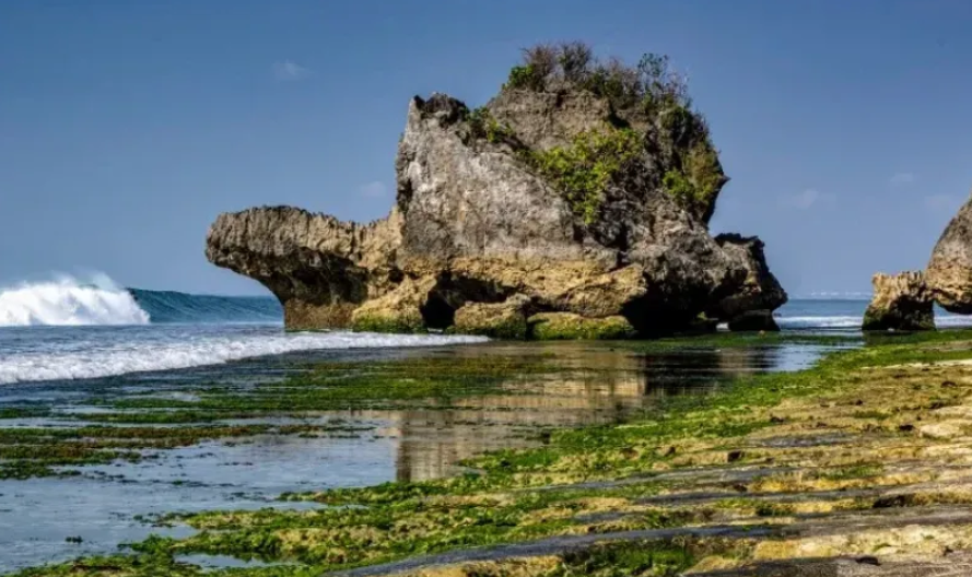 Pantai Thomas, photo by pesisir.net
