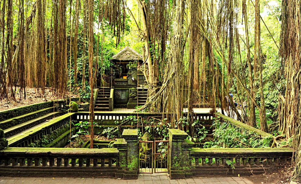 Monkey Forest Ubud (Mandala Wisata Wenara Wana)