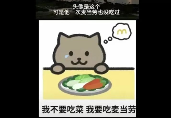 Profil Fat Cat  China yang Viral di TikTok (X/@aseprivva)