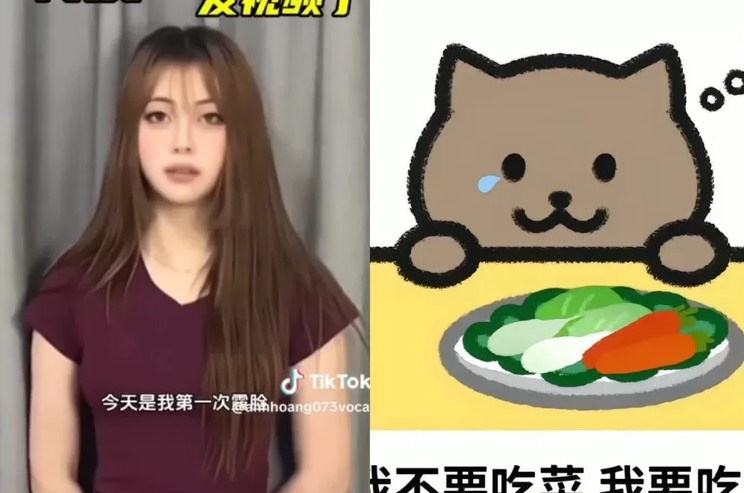 Sosok Tan Zhu yang Diduga Penyebab Gamer Fat Cat Bunuh Diri.