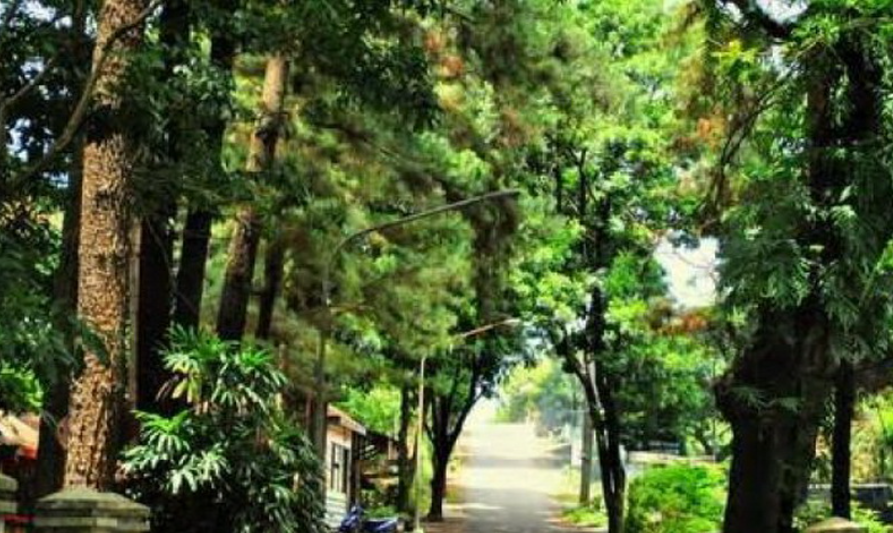 Hutan Penggaron (Foto: Jejakpiknik)