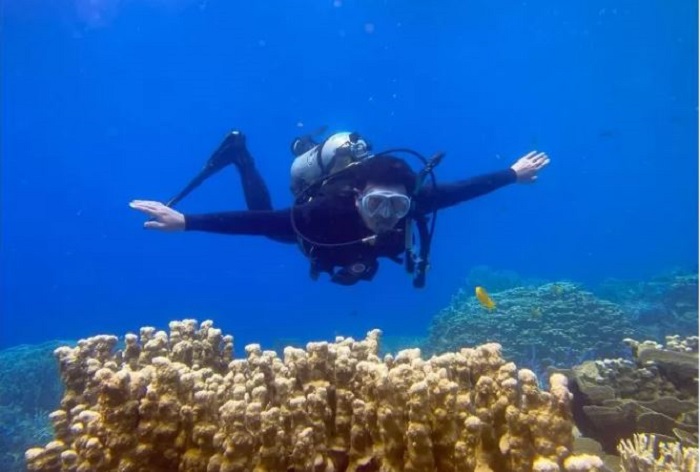 Destinasi wisata Jawa Tengah, Taman Nasional (TN) Karimunjawa, Jepara. (Istimewa)