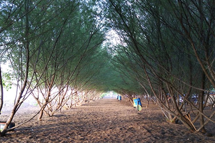 Pantai Cemara(Dok. banyuwangitourism.com)