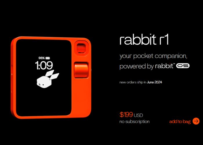 Gadget Rabbit R1