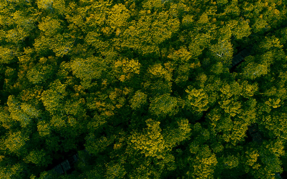 Taman Wisata Mangrove Sofifi (Moh Zhaynul &ndash; Shutterstock)