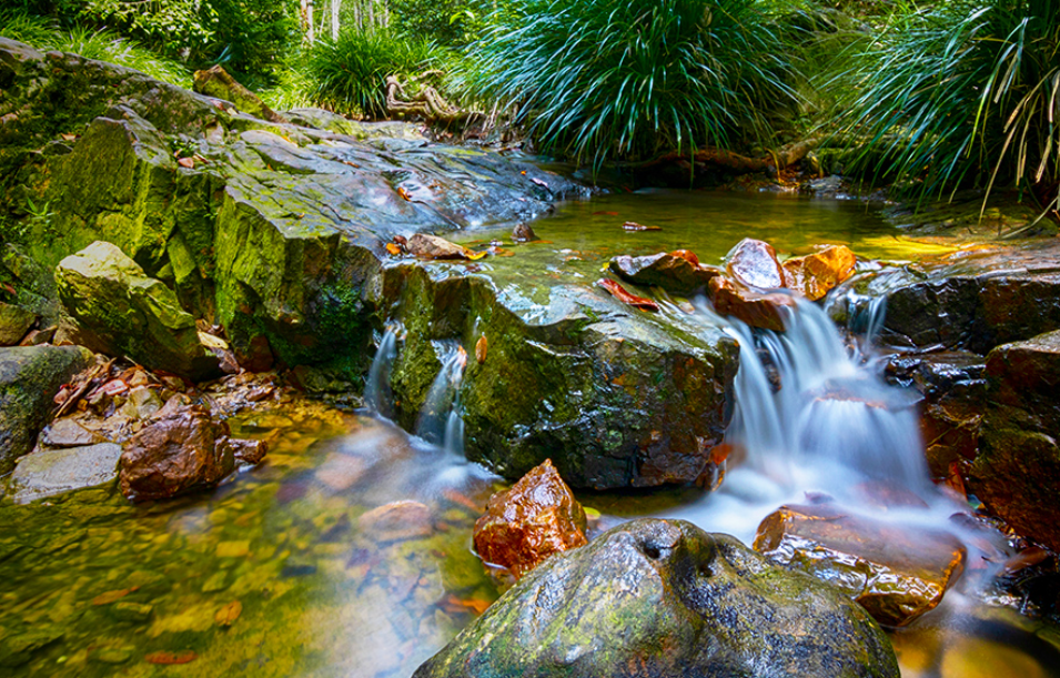 Telaga Bidadari (Faizal Qadrie &ndash; Shutterstock)