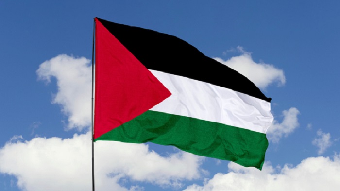 Ilustrasi bendera Palestina. Foto: Shutterstock