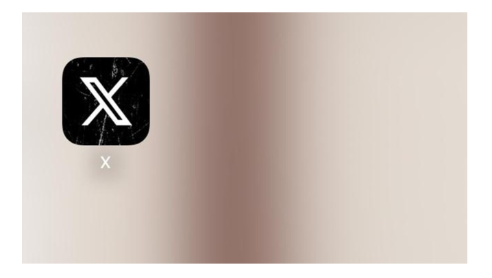 Logo X (Foto: 20Detik).