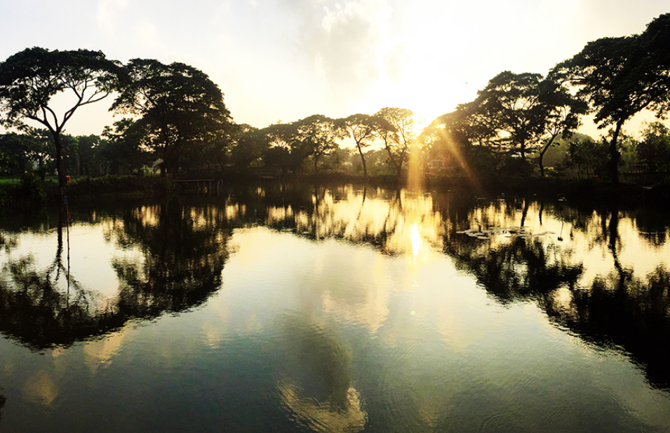 Kebun Bibit Wonorejo. (Sumber Luthfi &ndash; Shutterstock)