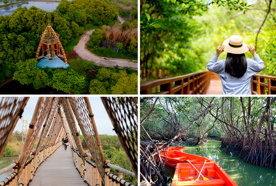 Ekowisata Mangrove Wonorejo. (Sumber: Mumun96 &ndash; Shutterstock)(Gbjstock &ndash; Shutterstock)( Ivu Fajar- Shutterstock)( Ivu Fajar- Shutterstock)