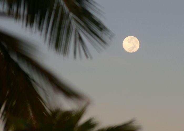 Fenomena Full Moon