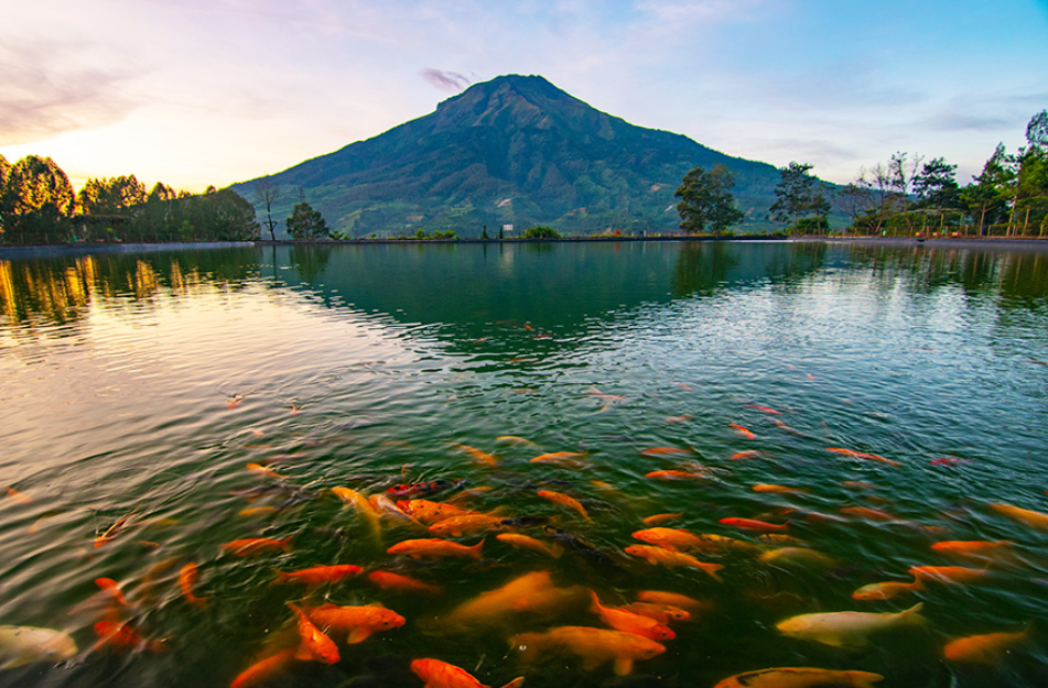 Menikmati Gunung Sumbing dengan cara yang menyenangkan di Wisata Embung Kledung ( Hana Krisna &ndash; Shutterstock)