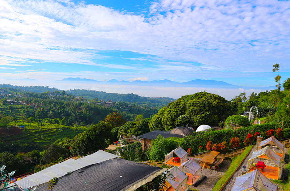 Lereng Anteng Panoramic Coffee ( Illustraiders- Shutterstock)