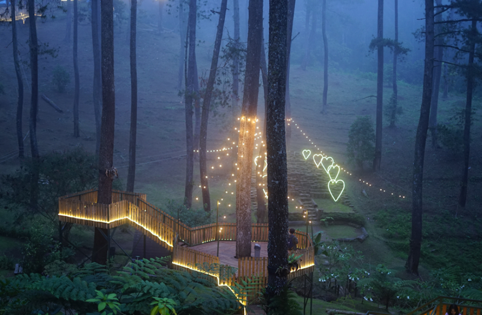 Pemandangan Orchid Forest di malam hari dengan lampu cantiknya (Azri Omar96 &ndash; Shutterstock)