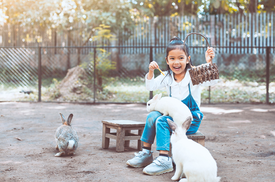 Menyenangkan si kecil dengan memberi makan kelinci (A3pfamily &ndash; Shutterstock)