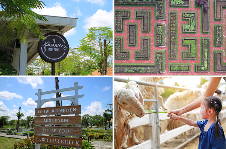 Serunya liburan di Obelix Village bareng keluarga (Golfx &ndash; Shutterstock)(Octopus &ndash; Shutterstock)(Raditya &ndash; Shutterstock)(Octopus16 &ndash; Shutterstock)