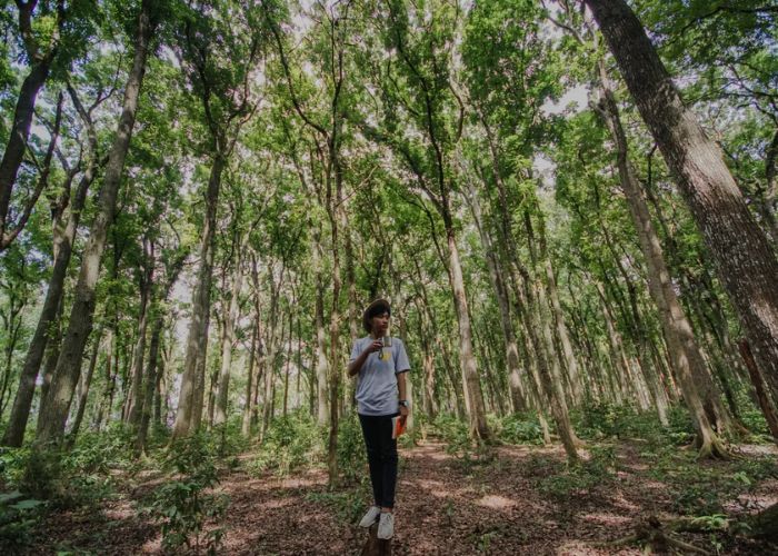 Wisata Bukit Geger Bangkalan