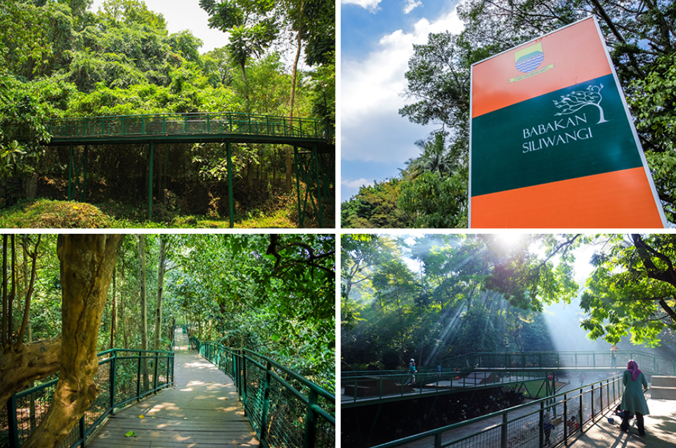 Forest Walk Babakan Siliwangi (Algi Febri &ndash; Shutterstock)(Akhmad Dody &ndash; Shutterstock)(Akhmad Dody &ndash; Shutterstock)( Roy Ismail- Shutterstock)