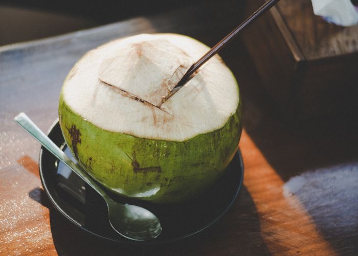 Ilustrasi Minum Air Kelapa