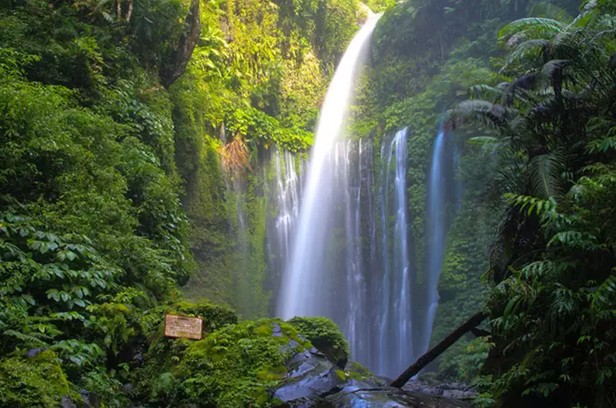 Air Terjun Sendang Gile Spot Instagramable dan Surga Tersembunyi di Desa Senaru, Lombok