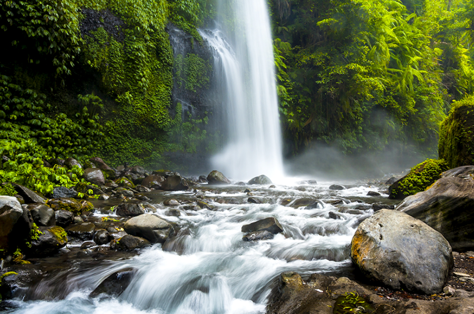 Suasana sejuk dan tenang di Air Terjun Sendang Gile (Gambar dari AzmanMD &ndash; Shutterstock)
