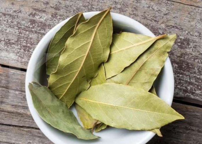 Keajaiban Daun Salam: Dari Menurunkan Kolesterol hingga Mengatasi Diabetes
