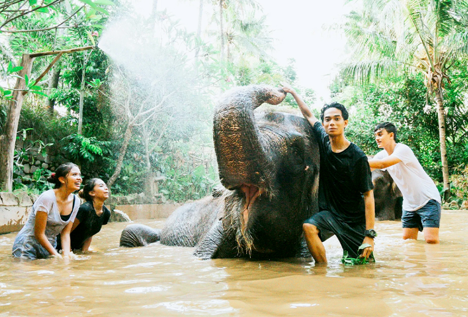 Cobain Mandi bareng Gajah Sekali Seumur Hidup! (Gambar dari tiket.com)