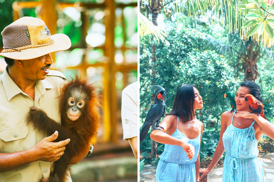 Satwa-satwa yang ada di Lombok Wildlife Park! (Gambar dari tiket.com)