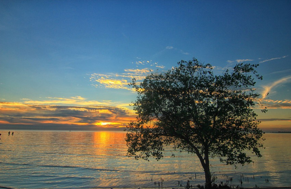 Momen Tak Terlupakan di Pantai Tanjung Pendam Pemandangan Pulau Kalimua dan Senja