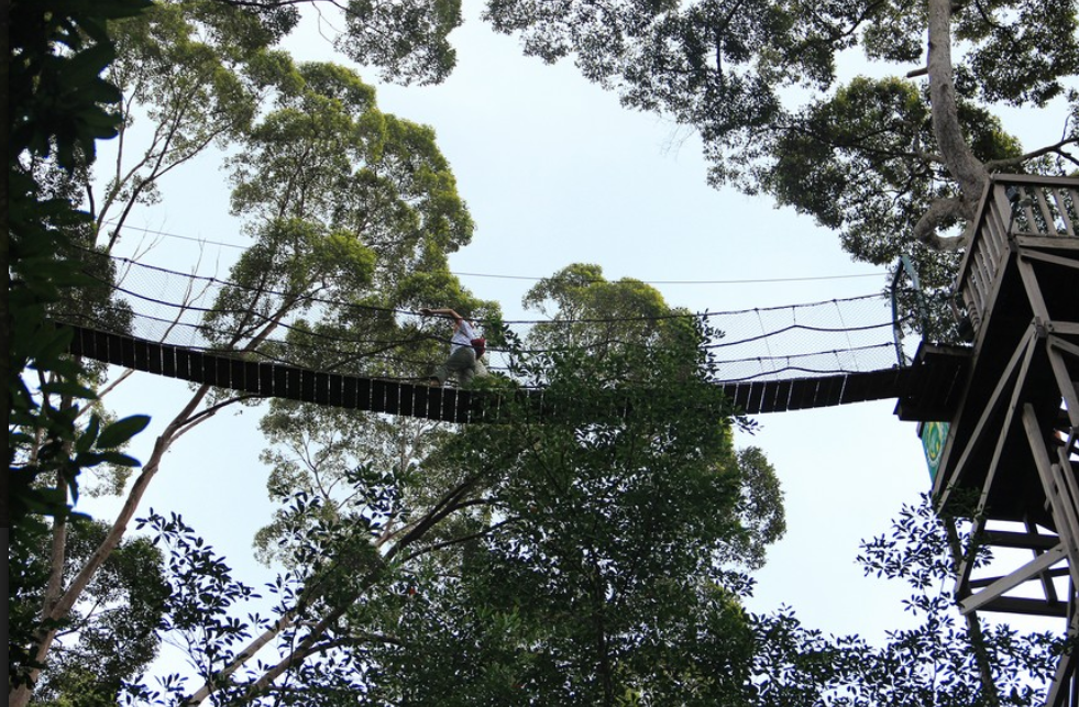 Jembatan kanopi ini dilarang untUk dinaiki ketika kecepatan angin melebihi 30 mil per iam