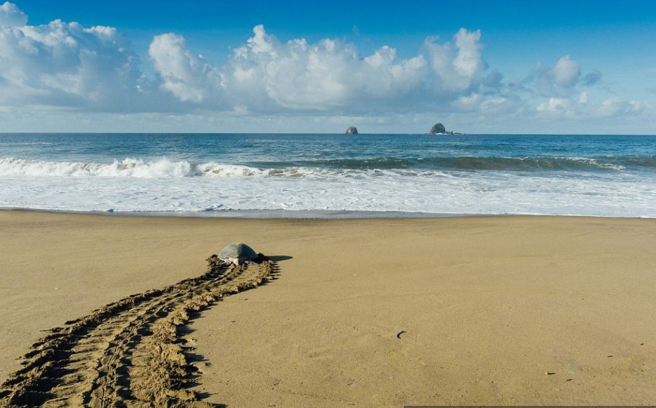 Ilustrasi pantai (commons.wikimedia.orgIsihenom)