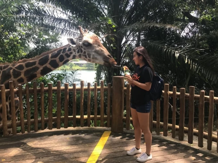 Singapore Zoo