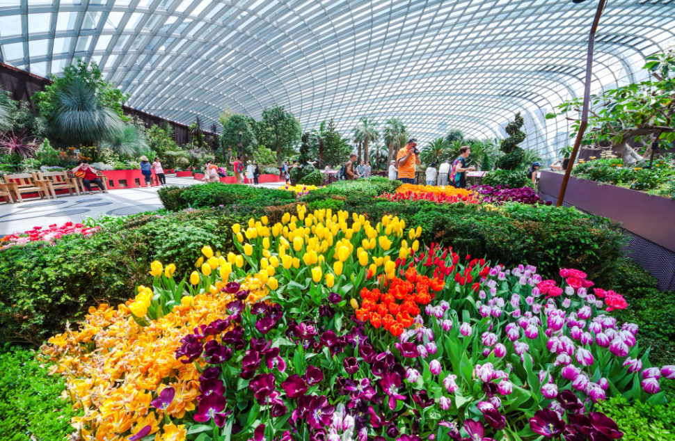 Nikmati keindahan hamparan Bunga di Flower Dome  (Gambar dari siraphat &ndash; www.shutterstock.com)