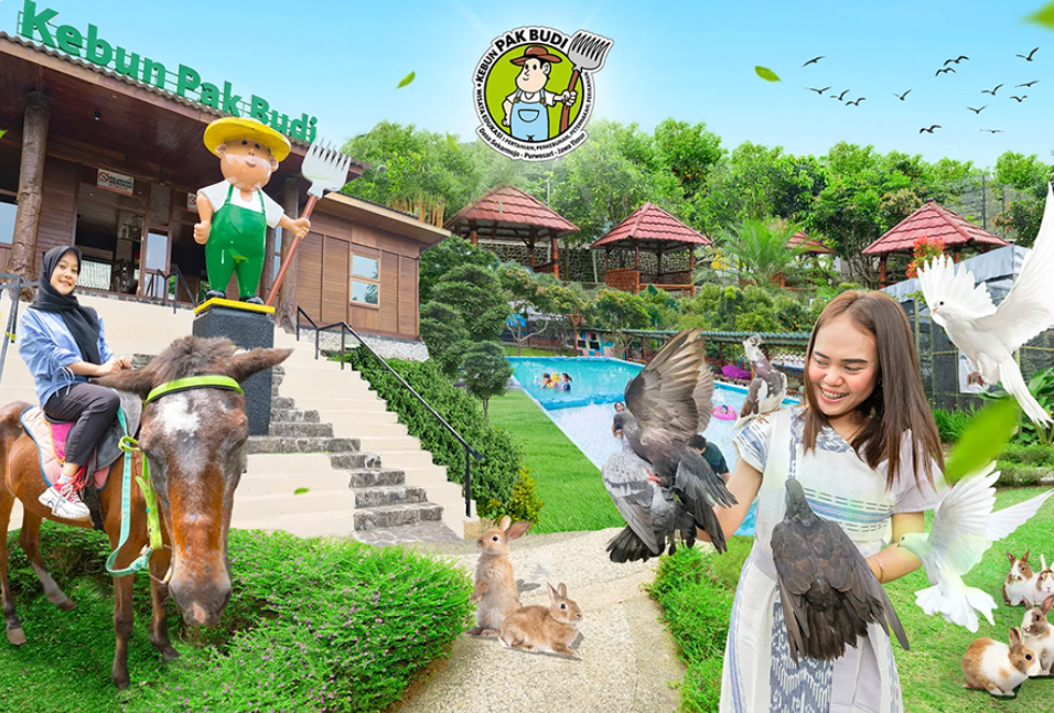 Kebun Pak Budi