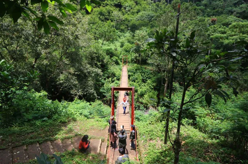 Taman Hutan Raya Ir. H. Djuanda