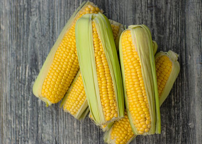Manfaat Konsumsi Jagung