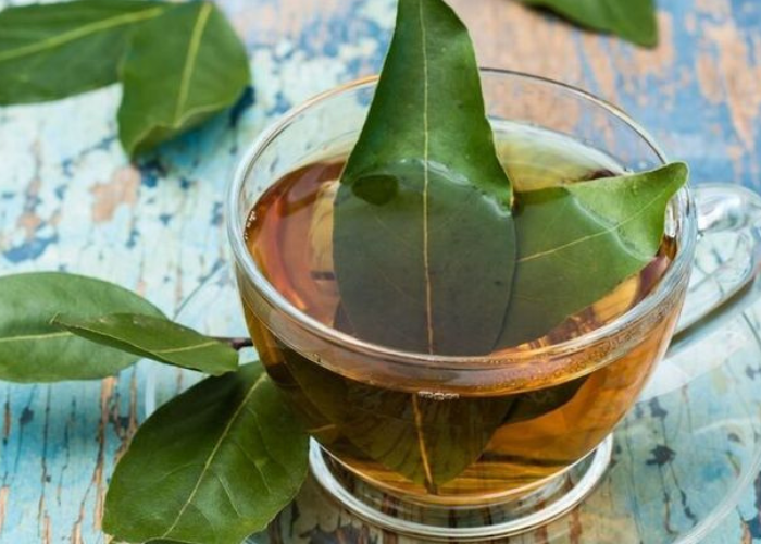 Air rebusan daun untuk asam urat