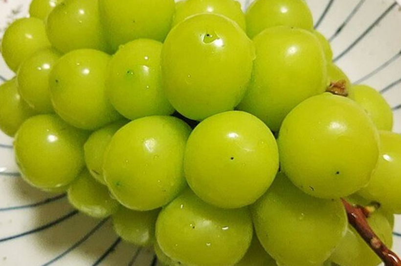 Ilustrasi anggur Shine Muscat. Lembaga pengawasan makanan di Thailand menemukan sampel anggur Shine Muscat yang diimpor mengandung residu berbahaya melebihi batas aman. (Wikimedia Commons)
