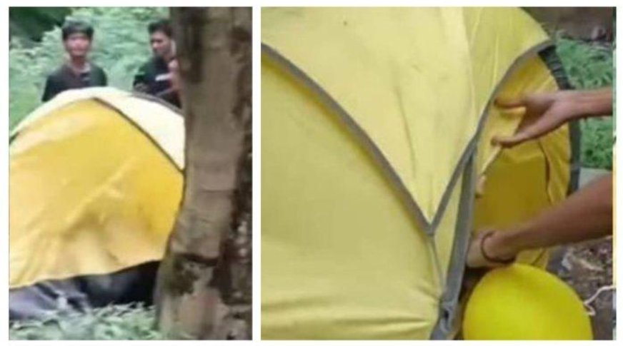 Tenda kuning goyang buat wisatawan di Perkemahan Dau Malang penasaran, saat digerebek ada muda-mudi yang melakukan aktivitas mesum.