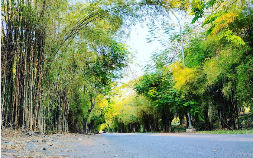Objek wisata Taman Harmoni Hutan Bambu di Surabaya, Jawa Timur (Foto: Instagram/@tamanharmonisurabaya_)