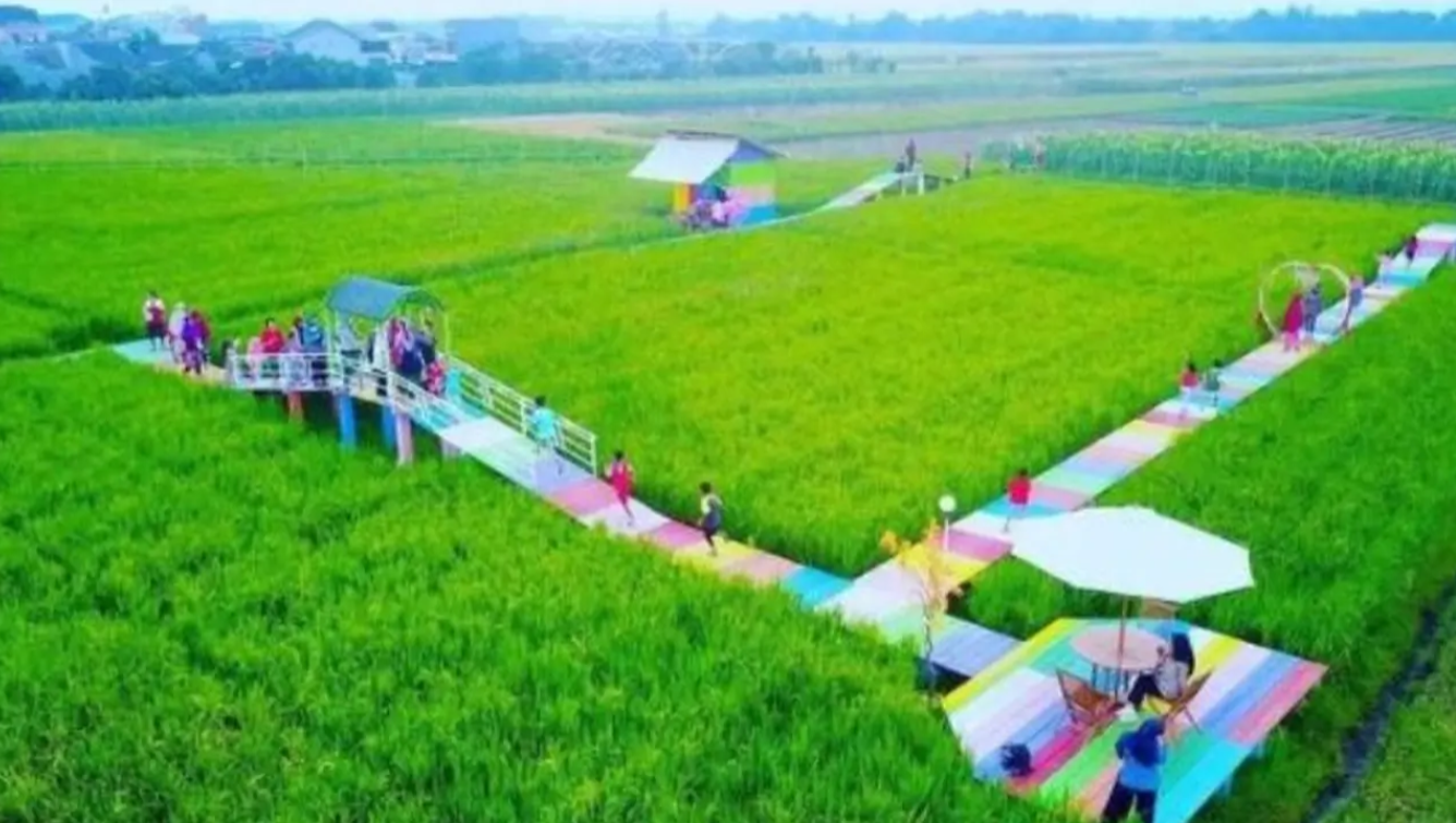 Wisata edukasi sawah Gatra Kencana Bojonangka di Kabupaten Pemalang, Jawa Tengah. (dok.Instagram @wisatapemalangid/https://www.instagram.com/p/CXvJj1ZL7Ys/Henry)