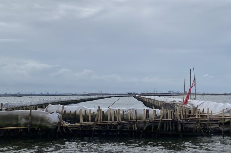Pagar laut sepanjang lima kilometer milik PT Tunas Ruang Pelabuhan Nusantara (TRPN) membentang di perairan Kampung Paljaya, Tarumajaya, Kabupaten Bekasi, Jawa Barat.(ACHMAD NASRUDIN YAHYA/KOMPAS.com)