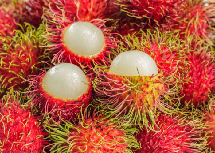 Manfaat Buah Rambutan