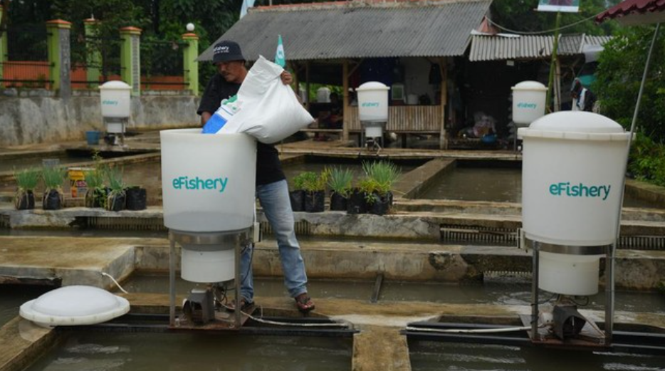 Dugaan penggelapan dana eFishery diperkirakan mencapai Rp9,7 triliun. Angka-angka dalam laporan keuangan oleh manjeman lebih dari 75 persen palsu. (Foto: Bloomberg via Getty Images/Bloomberg)