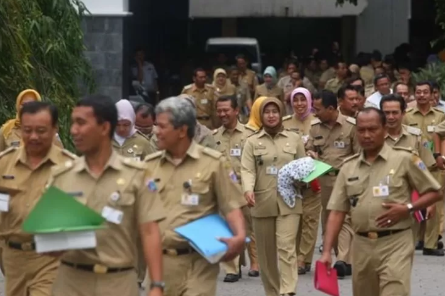 Jadwal penetapan NIP CPNS tahun 2024. (menpan.go.id)